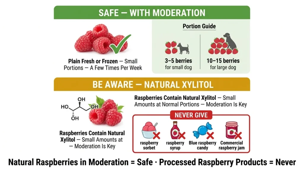 The Dangers of Feeding Your Dog Raspberries