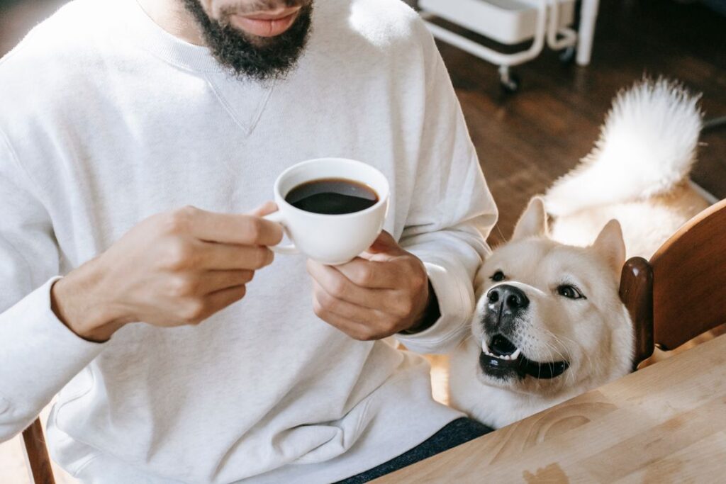 Akita Inu dog sniffing a coffee cup held by its owner at breakfast