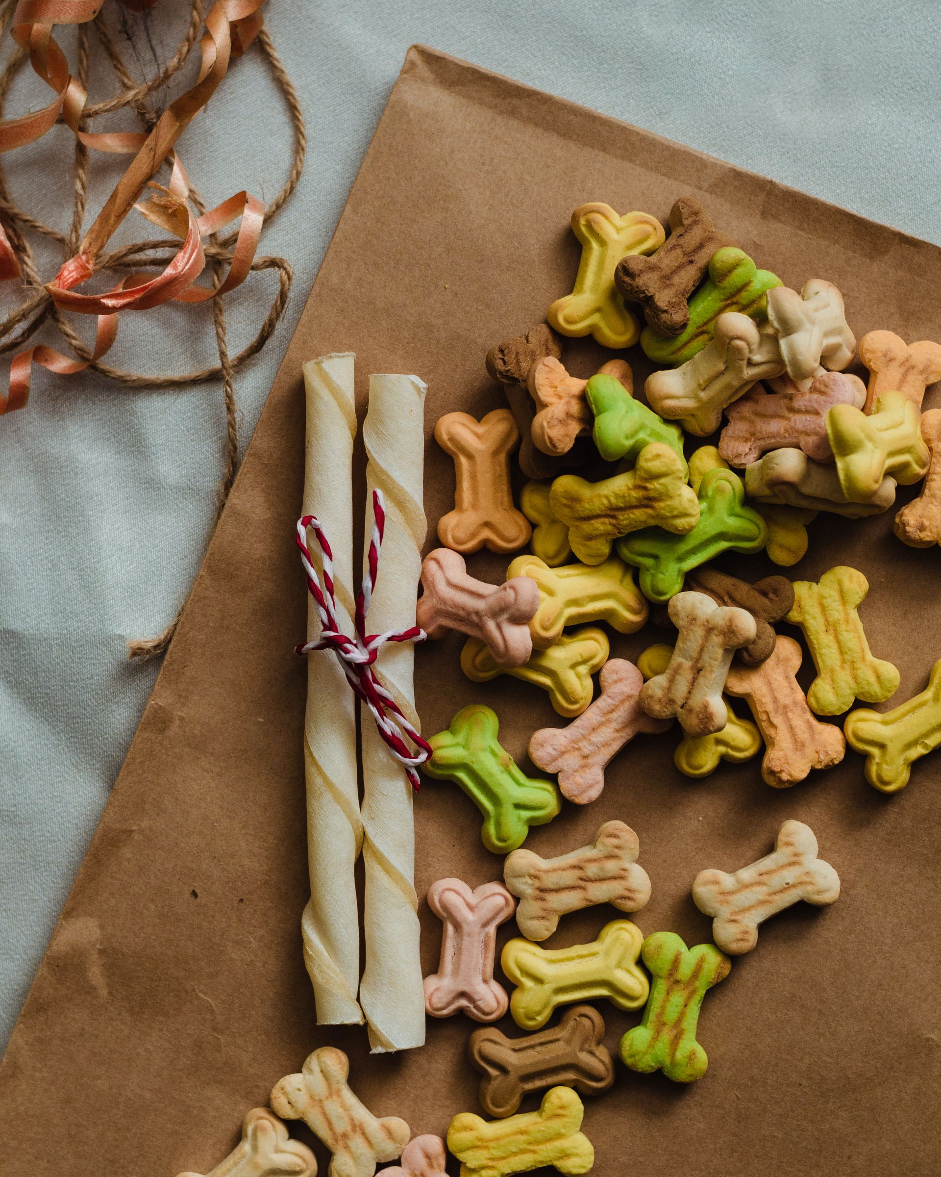 Assorted dog treats and snacks for training rewards